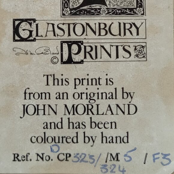 VTG John Morland Birds Hand Colored Glastonbury Print Framed Made in England - Picture 7 of 9